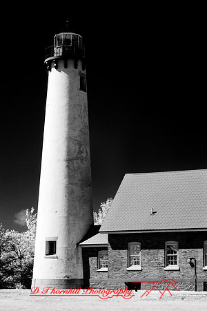 tawas-state-park-infrared-2008_028