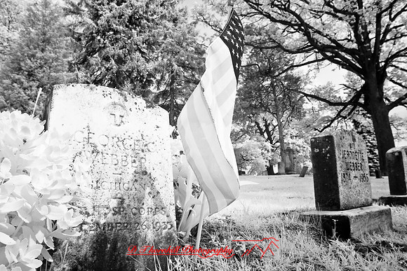 infrared-2008_059