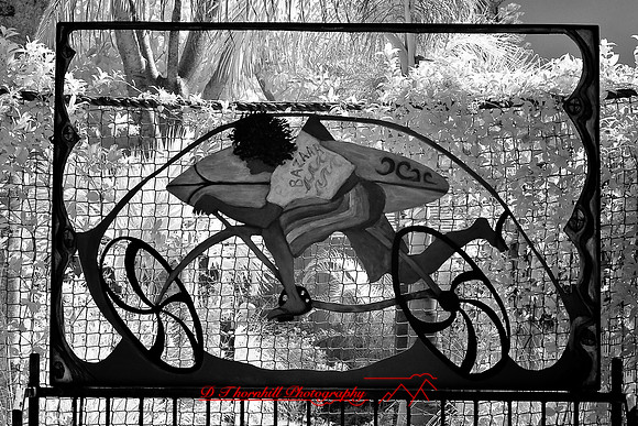 florida-2009-images-infrared_24.jpg