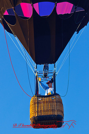 midland-balloon-2011-38