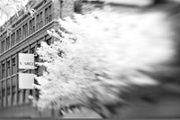 infrared-galesburg_il-2011-12