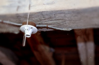 assorted_images-2011-138-nas