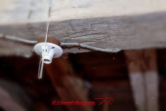 assorted_images-2011-138-nas