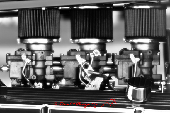 muth-car-show-infrared-2008_54