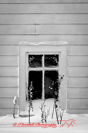 assorted_images-2012-021