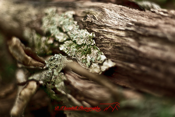 shiawassee-aug-2012-26_HDR