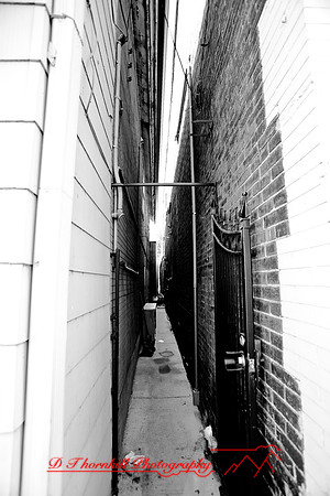 assorted_images-2007-86