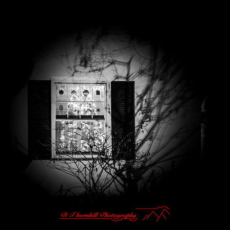 Saginaw-2019-christmas-001-n-l-as