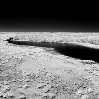 florida-2014-infrared-016