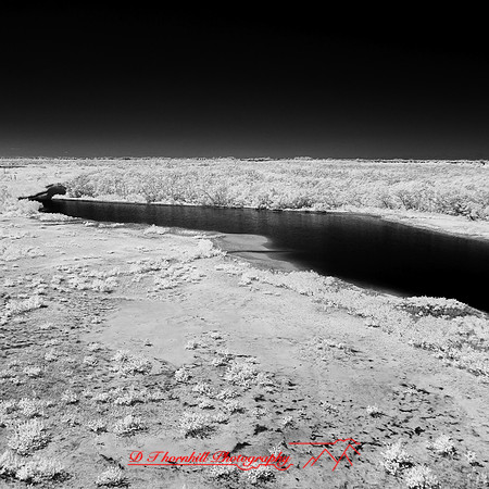 florida-2014-infrared-016