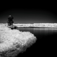 florida-2014-infrared-019-nas