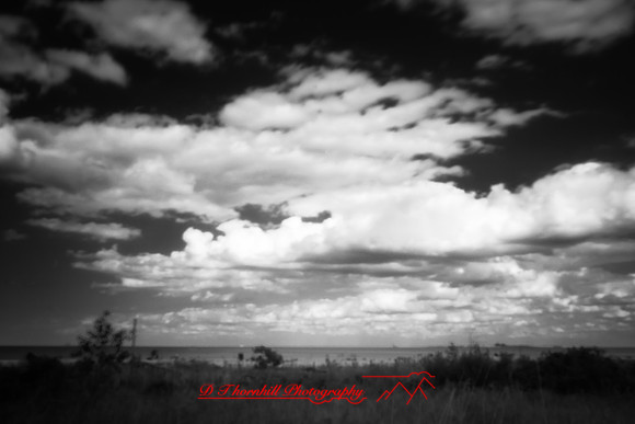Bay City Stat Park - pinhole - 2022 - 001