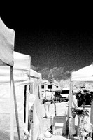 florida-2009-people-infrared_09.jpg