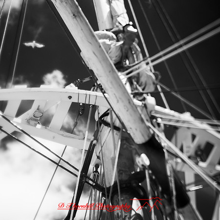 bay-city-tall-ships-2013-094
