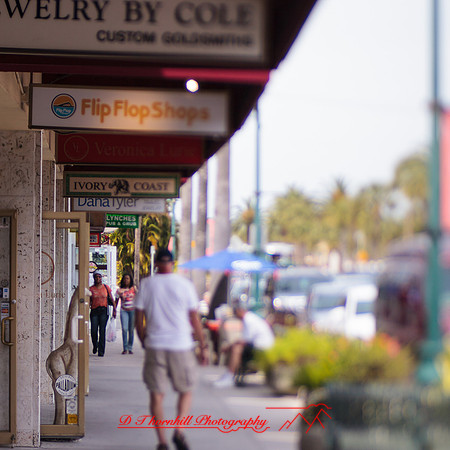florida-2013-images-127