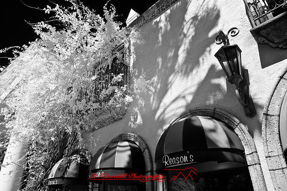 florida-2008-images-infrared_24.jpg