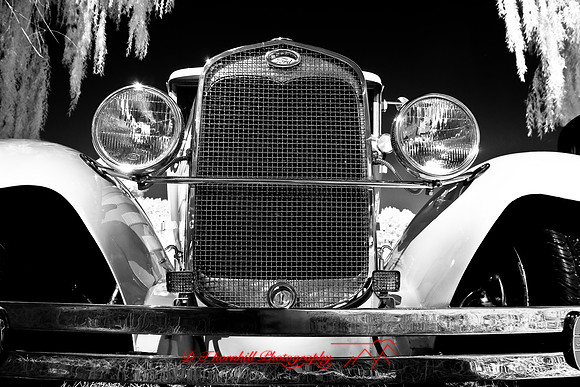 muth-car-show-infrared-2008_33