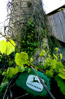 assorted_images-2007-26