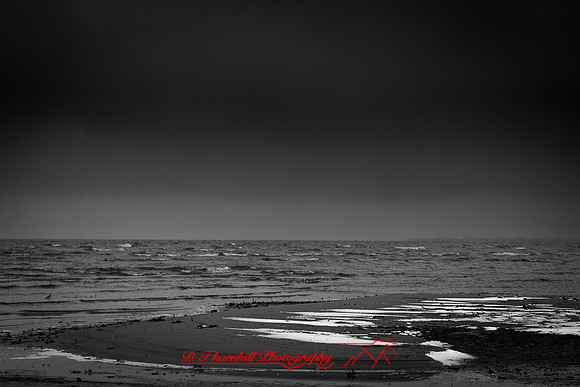 bay city state parks- 2021 - 006