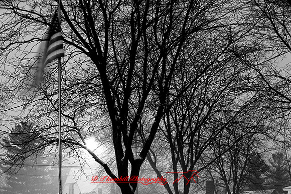 assorted_images-2007_105