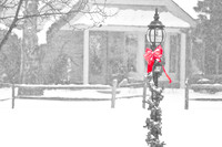 assorted_images-2009_016.jpg