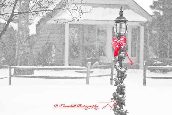assorted_images-2009_016.jpg