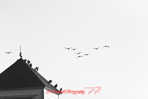 bay_city_images_2007-23