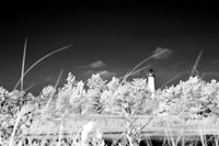 tawas-state-park-infrared-2008_005