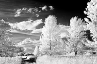 shiawasse_infrared_june-2008_02
