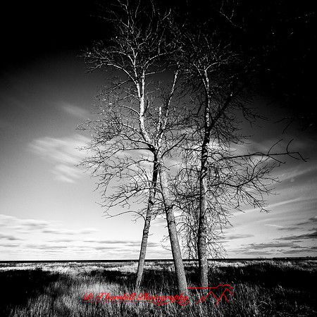 shadow-light-project-bay-city-state-park-2014-008-nas