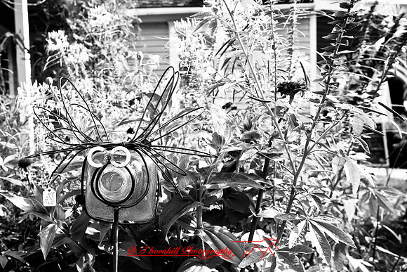 assorted_images-2007-78