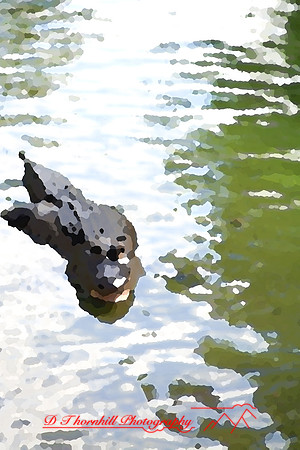 saginaw-zoo_01