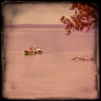 florida-2012-people_10-nas