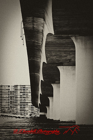 florida-2009-images_43-nik.jpg