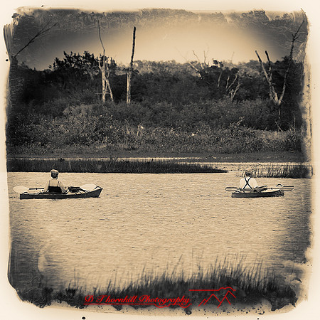 florida-2012-people_01-nas
