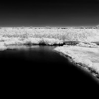 florida-2014-infrared-014