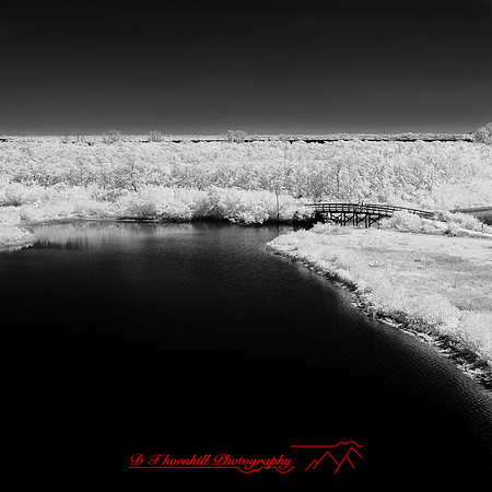 florida-2014-infrared-014