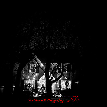 Saginaw-2019-christmas-011-n-l-as