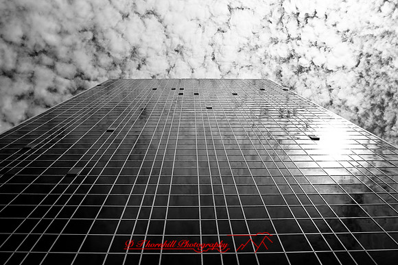 infrared-2008_074