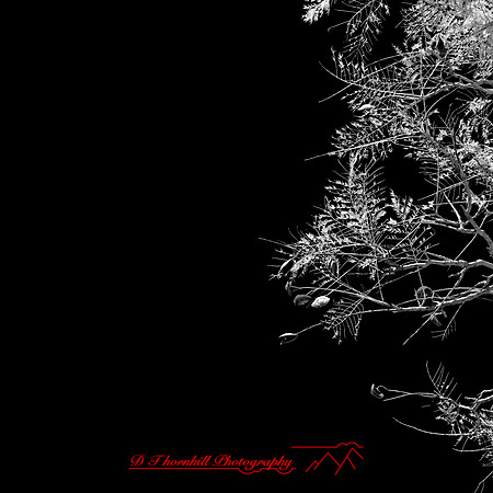 FL-March 2018-171_DxO