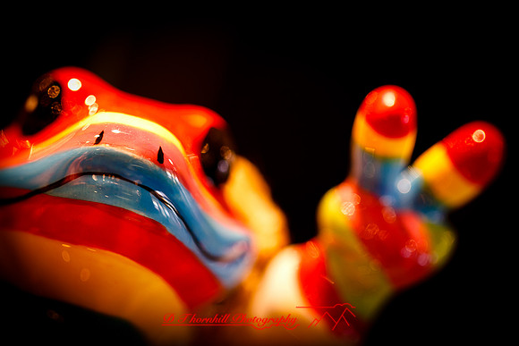 florida-images-2011-49
