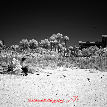 FL-March 2018-165_DxO