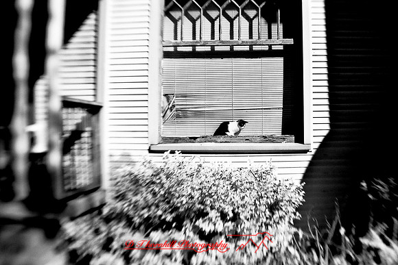 infrared-2009-random_34-nik.jpg