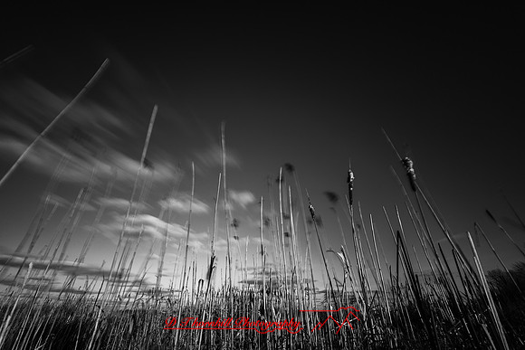 shadow-light-project-bay-city-state-park-2014-013