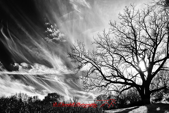 infrared_images-2012-031-nas