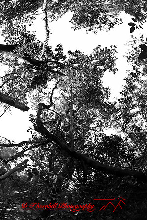 shiawassee_september_2007-06