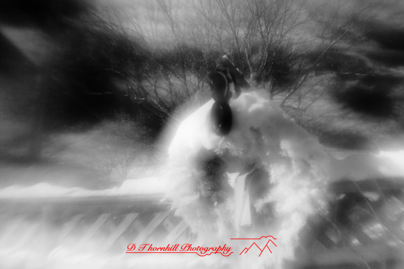 infrared-2010-random_002.jpg