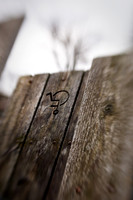 assorted_images-2009_62.jpg
