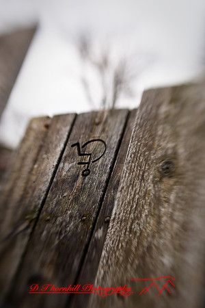 assorted_images-2009_62.jpg