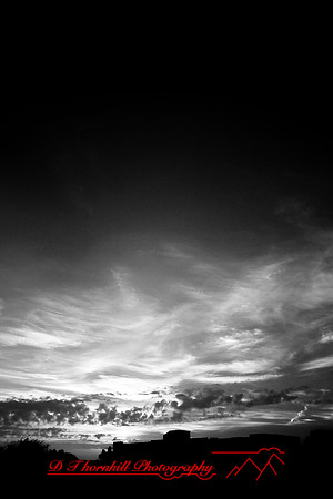 florida-2009-images-infrared_30.jpg